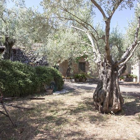 Villa Es Coco, Soller Puerto de Sóller Dış mekan fotoğraf
