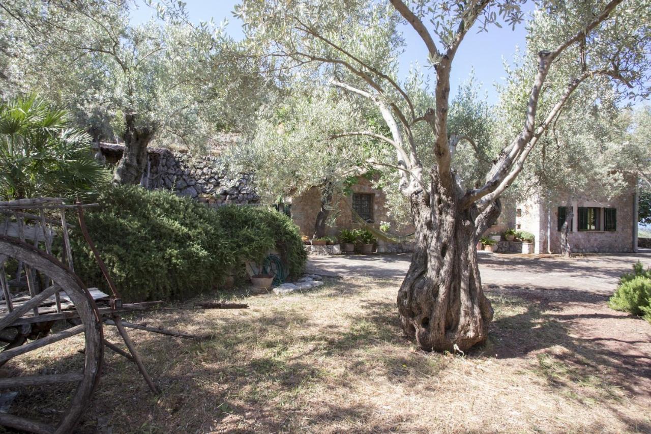 Villa Es Coco, Soller Puerto de Sóller Dış mekan fotoğraf