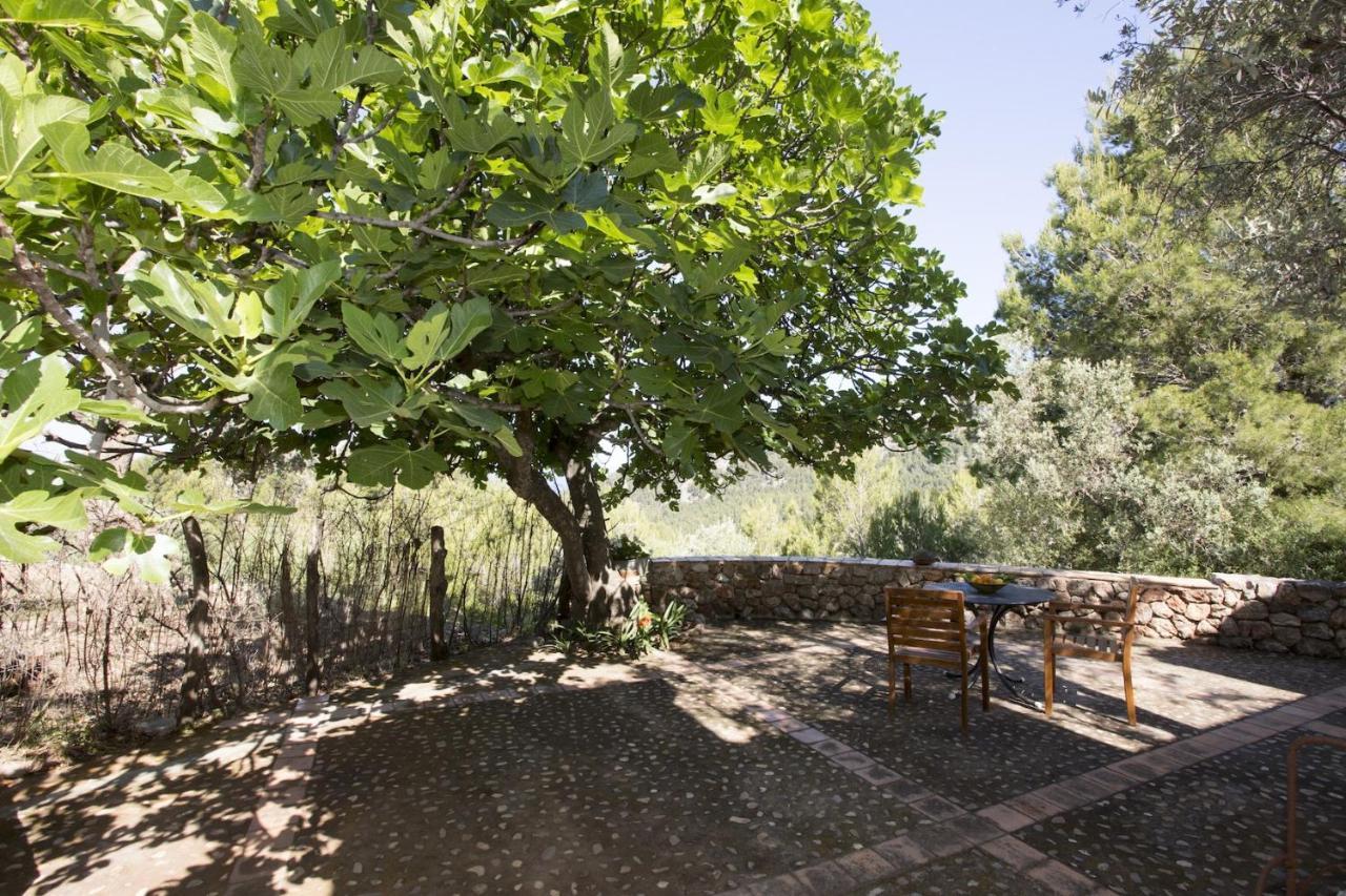 Villa Es Coco, Soller Puerto de Sóller Dış mekan fotoğraf