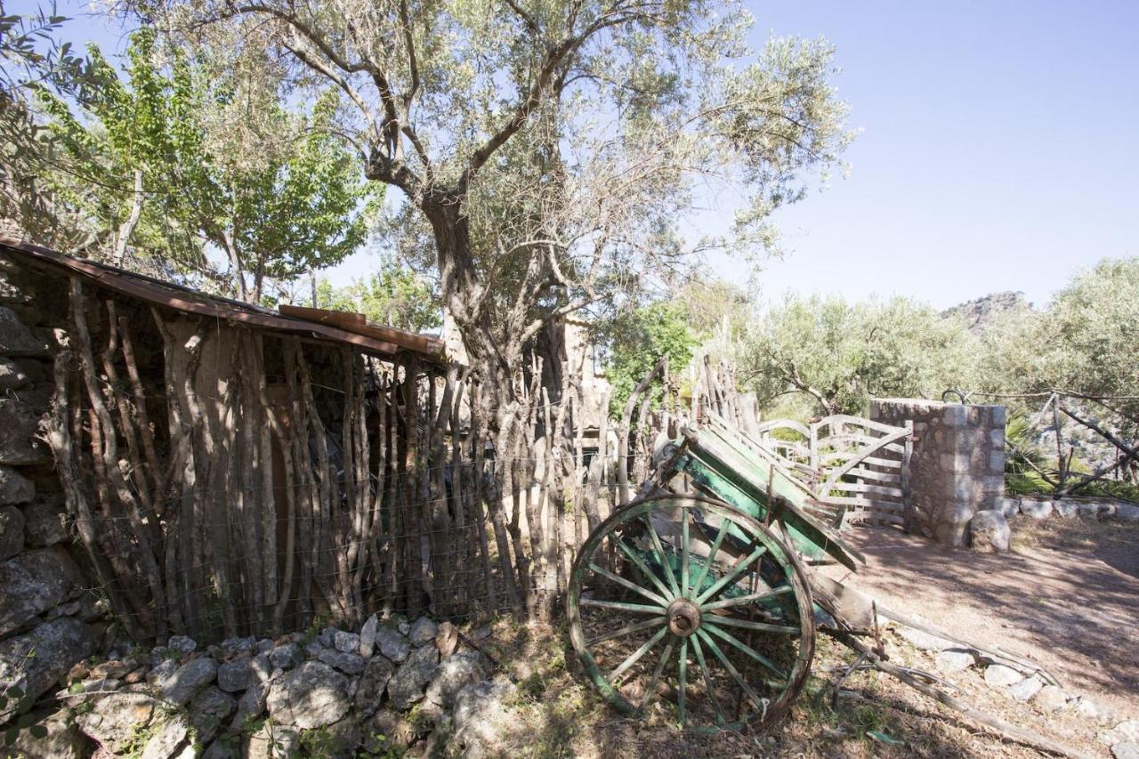 Villa Es Coco, Soller Puerto de Sóller Dış mekan fotoğraf