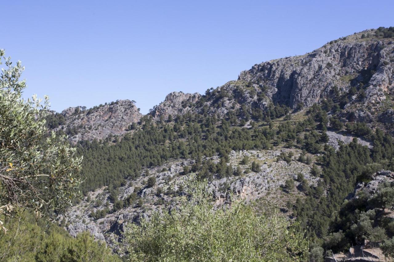Villa Es Coco, Soller Puerto de Sóller Dış mekan fotoğraf